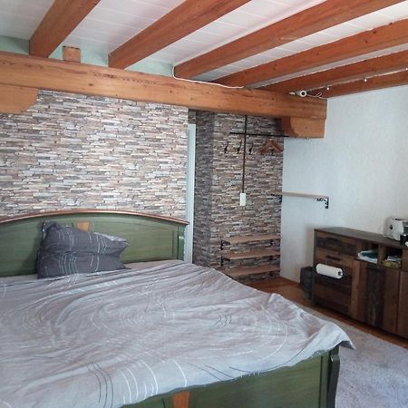 See- Und Altstadthaeusle - Alles Direkt Vor Der Haustuer - Bodenseeufer Natur Altstadt Bahnhof Bora-Sauna - Klein Und Super Zentral Zum See Oepnv Stadt Natur Etc - Appartement Historica رادولفزيل ام بوندنز المظهر الخارجي الصورة