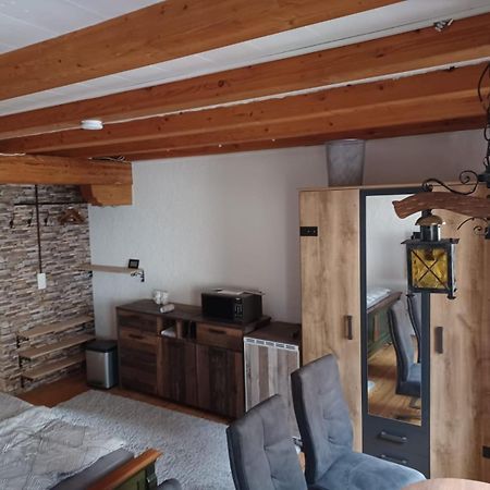 See- Und Altstadthaeusle - Alles Direkt Vor Der Haustuer - Bodenseeufer Natur Altstadt Bahnhof Bora-Sauna - Klein Und Super Zentral Zum See Oepnv Stadt Natur Etc - Appartement Historica رادولفزيل ام بوندنز المظهر الخارجي الصورة