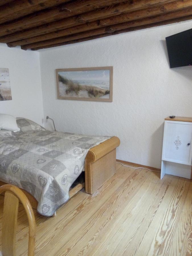 See- Und Altstadthaeusle - Alles Direkt Vor Der Haustuer - Bodenseeufer Natur Altstadt Bahnhof Bora-Sauna - Klein Und Super Zentral Zum See Oepnv Stadt Natur Etc - Appartement Historica رادولفزيل ام بوندنز المظهر الخارجي الصورة
