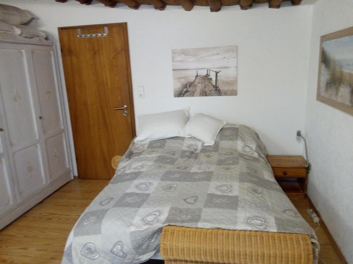 See- Und Altstadthaeusle - Alles Direkt Vor Der Haustuer - Bodenseeufer Natur Altstadt Bahnhof Bora-Sauna - Klein Und Super Zentral Zum See Oepnv Stadt Natur Etc - Appartement Historica رادولفزيل ام بوندنز المظهر الخارجي الصورة