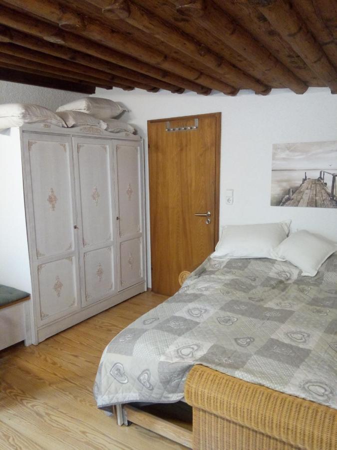 See- Und Altstadthaeusle - Alles Direkt Vor Der Haustuer - Bodenseeufer Natur Altstadt Bahnhof Bora-Sauna - Klein Und Super Zentral Zum See Oepnv Stadt Natur Etc - Appartement Historica رادولفزيل ام بوندنز المظهر الخارجي الصورة