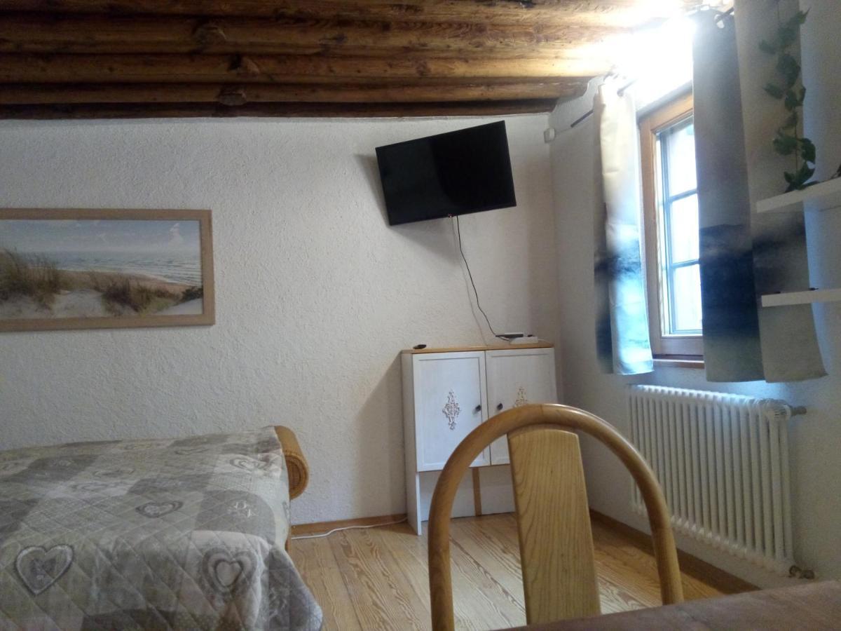 See- Und Altstadthaeusle - Alles Direkt Vor Der Haustuer - Bodenseeufer Natur Altstadt Bahnhof Bora-Sauna - Klein Und Super Zentral Zum See Oepnv Stadt Natur Etc - Appartement Historica رادولفزيل ام بوندنز المظهر الخارجي الصورة