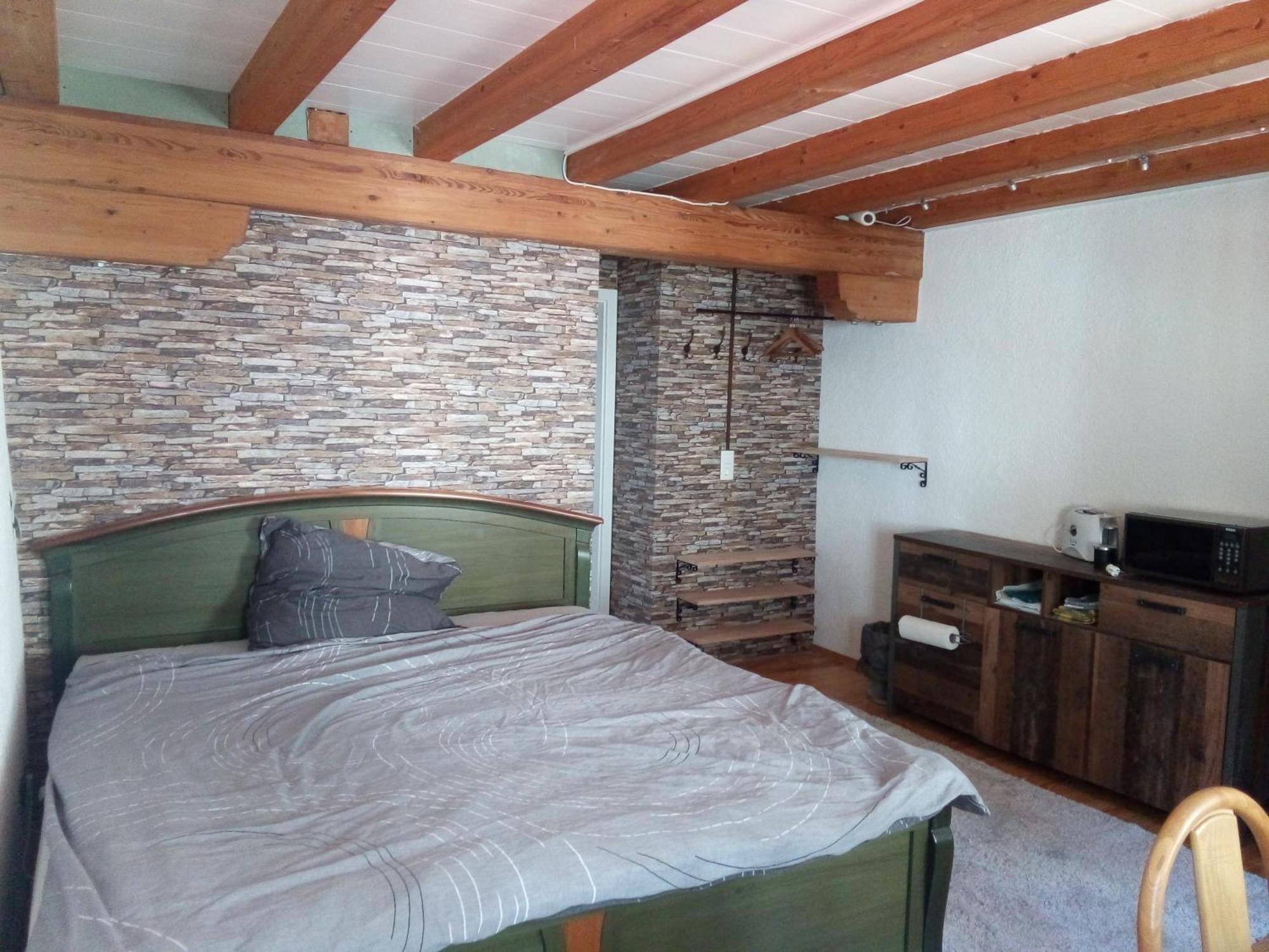 See- Und Altstadthaeusle - Alles Direkt Vor Der Haustuer - Bodenseeufer Natur Altstadt Bahnhof Bora-Sauna - Klein Und Super Zentral Zum See Oepnv Stadt Natur Etc - Appartement Historica رادولفزيل ام بوندنز المظهر الخارجي الصورة